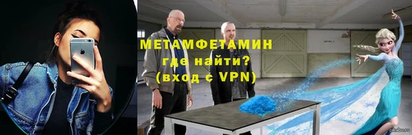 ГАЛЛЮЦИНОГЕННЫЕ ГРИБЫ Дмитриев