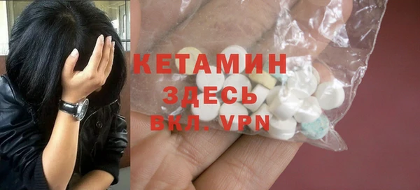 ГАЛЛЮЦИНОГЕННЫЕ ГРИБЫ Дмитриев