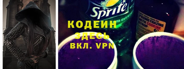 ГАЛЛЮЦИНОГЕННЫЕ ГРИБЫ Дмитриев