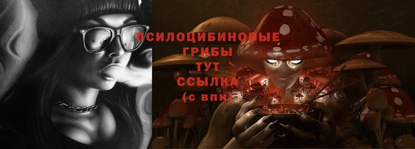 ГАЛЛЮЦИНОГЕННЫЕ ГРИБЫ Дмитриев