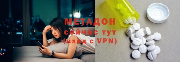 ГАЛЛЮЦИНОГЕННЫЕ ГРИБЫ Дмитриев