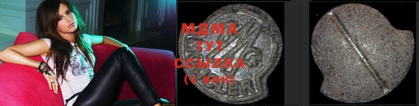 ГАЛЛЮЦИНОГЕННЫЕ ГРИБЫ Дмитриев