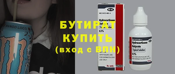 ГАЛЛЮЦИНОГЕННЫЕ ГРИБЫ Дмитриев