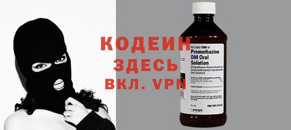 ГАЛЛЮЦИНОГЕННЫЕ ГРИБЫ Дмитриев