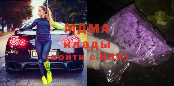 ГАЛЛЮЦИНОГЕННЫЕ ГРИБЫ Дмитриев