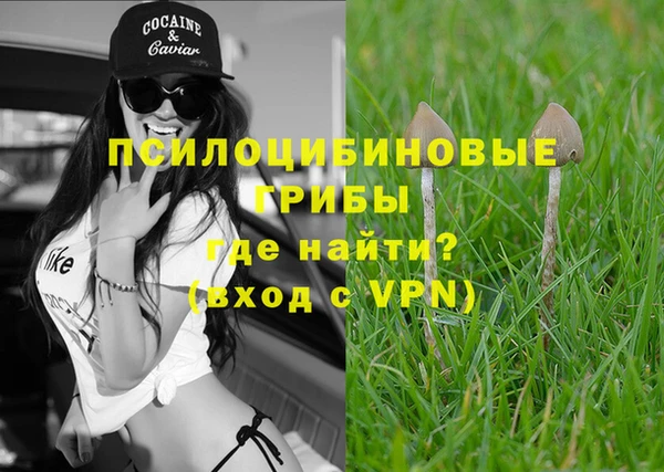 ГАЛЛЮЦИНОГЕННЫЕ ГРИБЫ Дмитриев