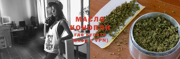 ГАЛЛЮЦИНОГЕННЫЕ ГРИБЫ Дмитриев