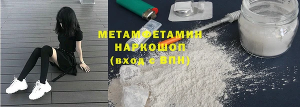 ГАЛЛЮЦИНОГЕННЫЕ ГРИБЫ Дмитриев